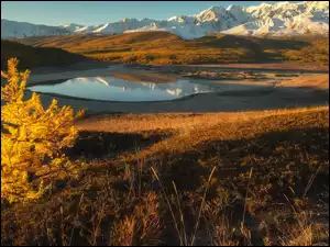 Jezioro Dzhangyskol w górach Północnoczujskich w Rosji