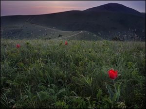 Pasmo górskie Markotchskie w kraju Krasnodarskim w Rosji