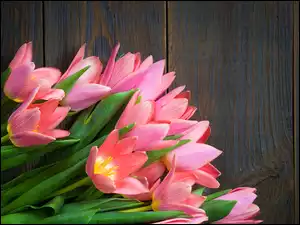 Różowe rozwinięte tulipany położone na deskach