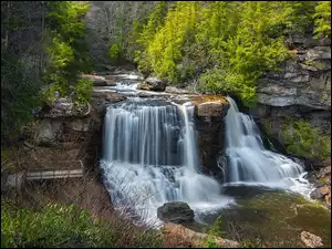 Wodospad w Parku Stanowym Blackwater Falls w Wirginii