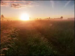 Zamglony wschód słońca nad łąkami