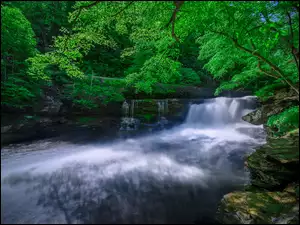 Wodospad Dunloup w Parku Narodowy w Glen Jean w Stanach Zjednoczonych