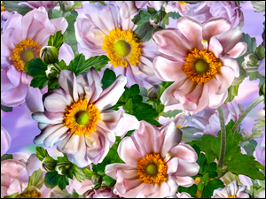 Graficzne barwne kwiaty wiosenne