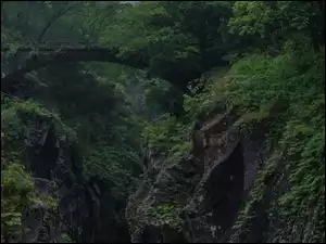 Most w leśnym skalnym wąwozie