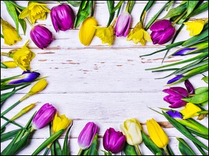 Tulipany żonkile i irysy ułożone na deskach