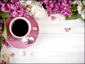 Filiżanka kawy i kostki cukru w otoczeniu bzu