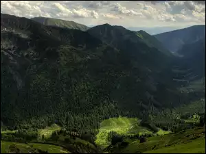 Tatry z lasem w dolinie