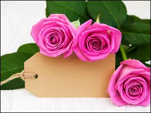 Róże różowe z kartonikiem i sznurkiem w listkach
