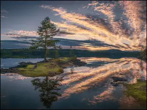 Ringrike, Norwegia, Jezioro, Odbicie, Chmury, Drzewa