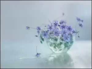 Fioletowe kwiaty bodziszka w szklanym wazoniku