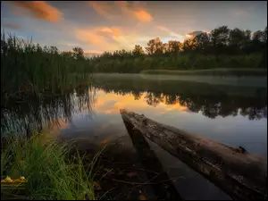 Jezioro Green Timbers