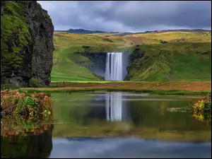 Skała, Islandia, Jezioro, Wodospad Skogafoss, Rośliny