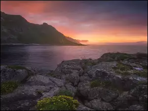 Gmina Moskenes, Morze Norweskie, Roślinność, Region Nordland, Skały, Zachód słońca, Norwegia, Góry