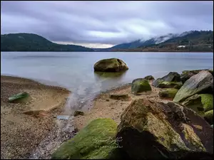 Omszałe kamienie na brzegu jeziora w Cates Parku w Vancouver
