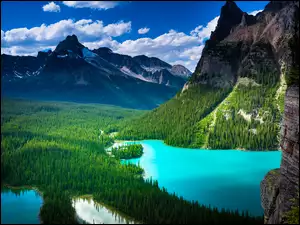 Lasy, Chmury, Kanada, Góry Canadian Rockies, Prowincja Kolumbia Brytyjska, Park Narodowy Yoho, Jezioro O Hara