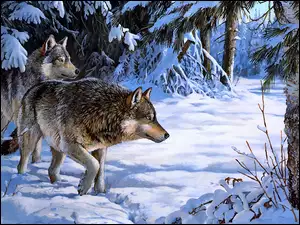Dwa wilki w lesie