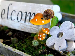 Jeż na grzybkach w drewnianej skrzyni z kwiatami