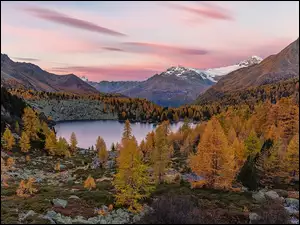 Dolina Val Poschiavo, Góry, Drzewa, Kanton Gryzonia, Jezioro Lagh da Val Viola, Jesień, Szwajcaria, Las