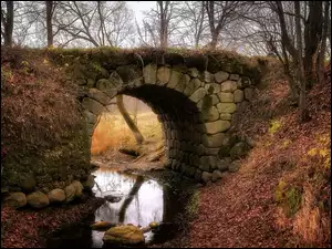 Rzeka, Jesień, Most, Drzewa, Kamienny, Kamienie