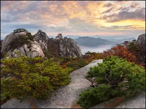Korea Południowa, Drzewa, Prowincja Gyeonggi-do, Góra Dobongsan, Park Narodowy Bukhansan, Chmury, Skały, Góry, Wschód słońca
