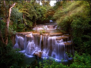 Drzewa, Tajlandia, Kaskada, Wodospad Erawan, Park Narodowy Erawan