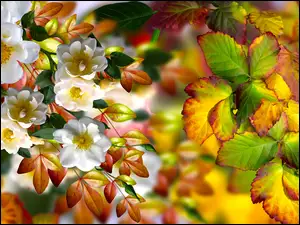 Białe kwiaty w dekoracji z jesiennymi liśćmi w grafice