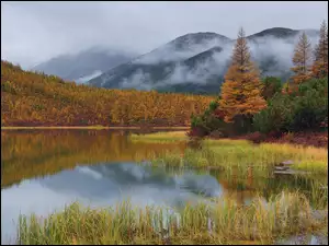 Kołyma, Jesień, Mgła, Magadan, Jezioro, Drzewa, Rosja, Góry
