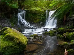 Wodospad w Parku Narodowym Field na Tasmanii