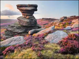 Kamienie i wrzosy na wzgórzu w Parku Narodowym Peak District