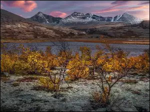 Jesień, Okręg Oppland, Krzewy, Jezioro, Roślinność, Park Narodowy Rondane, Góry Rondane, Norwegia, Masyw Rondane