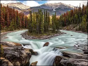 Rzeka Sunwapta, Park Narodowy Jasper, Kanada, Wodospad Sunwapta Falls, Alberta, Drzewa, Skały