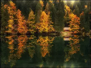 Domek w jesiennym lesie nad jeziorem Fusine Lake we włoszech