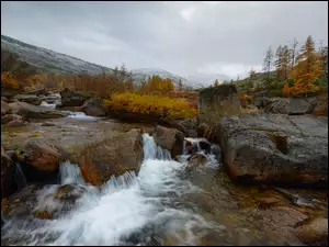 Jesień, Rzeka, Kamienie, Potok Studienyj, Magadan, Rosja, Góry, Kołyma, Drzewa, Mgła