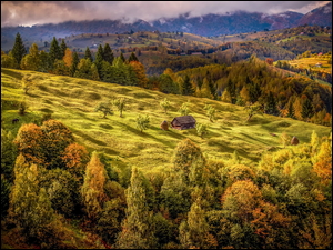 Wioska na zalesionych jesiennych wzgórzach w Transylwanii w Rumunii
