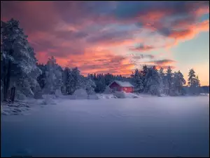 Dom, Norwegia, Drzewa, Zachód słońca, Ringerike, Las, Chmury, Zima