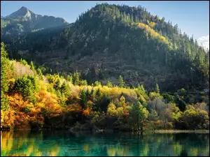 Jesień, Las, Chiny, Park Narodowy Jiuzhaigou, Drzewa, Jezioro Wu Hua Hai - Pięciu Kwiatów, Góry