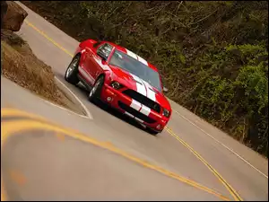 Czerwony, GT 500, Shelby, Ford Mustang