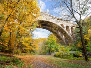 Henry Avenue Bridge, Drzewa, Stany Zjednoczone, Most, Stan Pensylwania, Filadelfia, Jesień