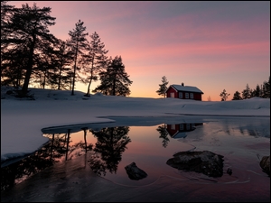Ringerike, Norwegia, Zima, Drzewa, Jezioro Vaeleren, Dom