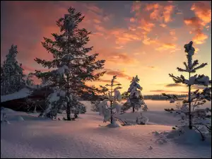Drzewa, Chmury, Dom, Zima, Wschód słońca