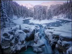 Drzewa, Wodospad Sunwapta Falls, Zima, Prowincja Alberta, Rzeka Sunwapta, Góry, Kanada, Park Narodowy Jasper