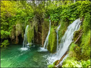 Roślinność, Chorwacja, Park Narodowy Jezior Plitwickich, Wodospad