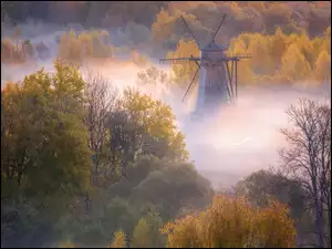 Mgła, Jesień, Wiatrak, Drzewa