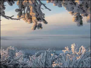 Zima w Laponii