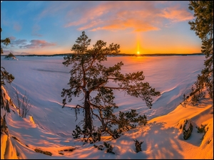 Zaspy, Zamarznięte, Drzewa, Karelia, Jezioro Ładoga, Zima, Rosja, Zachód słońca