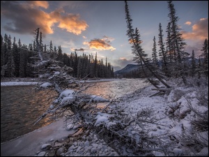 Park Narodowy Banff, Rzeka Bow River, Zima, Kanada, Rośliny, Góry, Las