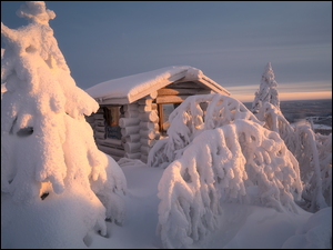 Drewniany, Śnieg, Drzewa, Zima, Dom