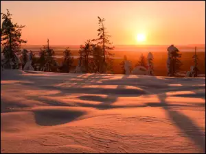 Śnieg, Finlandia, Zima, Wschód słońca, Drzewa