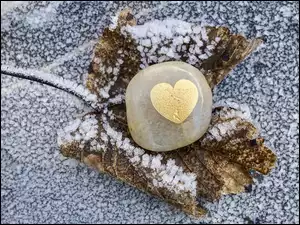Kamień ze złotym sercem na zamrożonym liściu