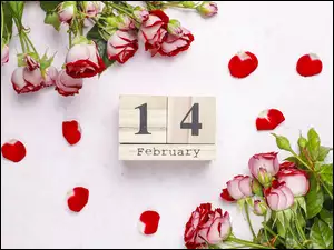Róże, Kwiaty, Data, Walentynki, Klocki, 14 luty